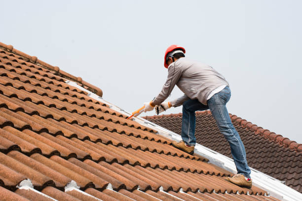 Professional  Roofing repair and installation in Milford, IA